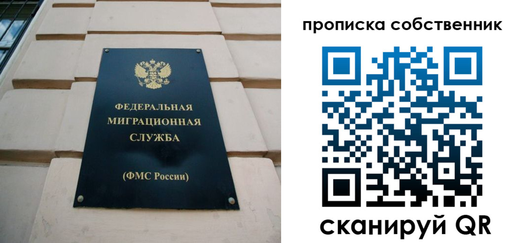 прописка законно в Шумихе